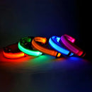 Coleira de Led