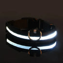 Coleira de Led