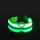 Coleira de Led