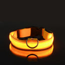Coleira de Led