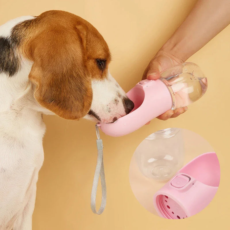 Garrafa para animais